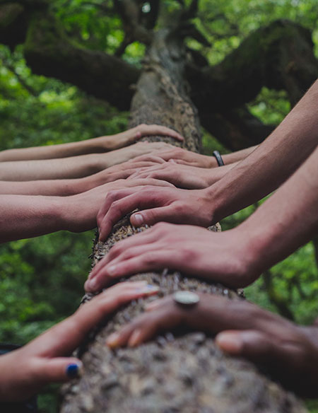 Team som arbetar tillsammans med ett gemensamt ledningssystem – samarbete och kommunikation i fokus