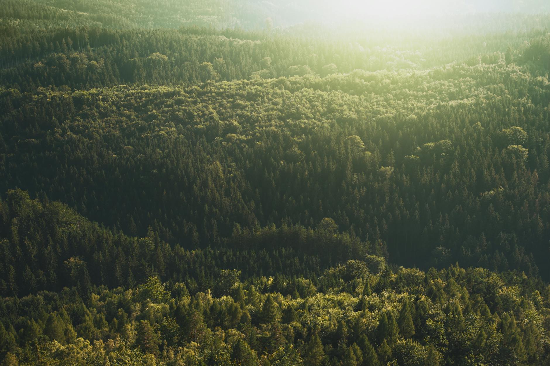 Klimatkrav i Ledningssystem - Vad Gäller Nu och 2026?