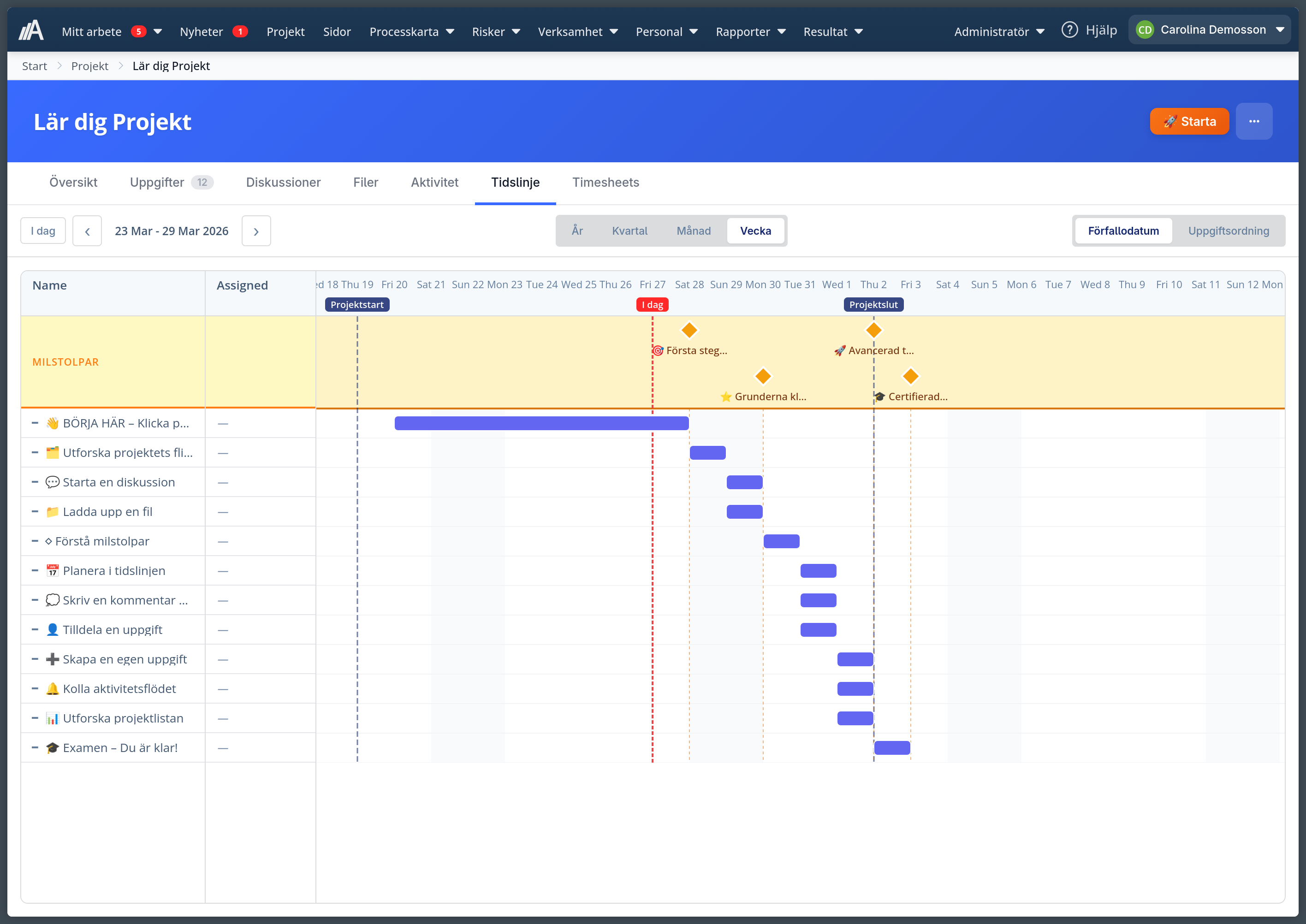 Enskilt projekt i AmpliFlow: tidslinjevyn för 'Lär dig Projekt' med milstolpar, uppgifter som blå staplar och projektstart/slut-markeringar.